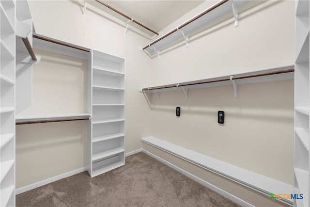 walk in closet featuring light colored carpet