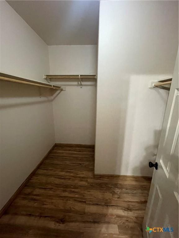 walk in closet with dark hardwood / wood-style flooring