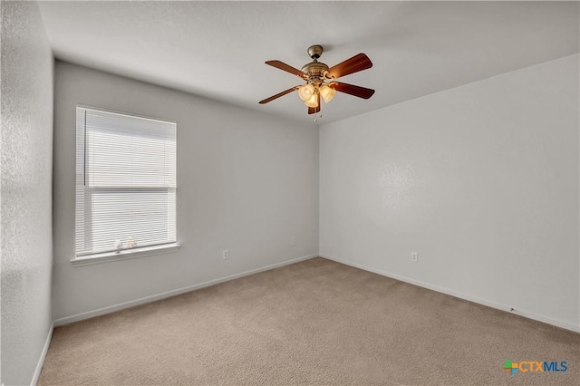 3601 Armstrong County Ct, Killeen, TX 76549 - photo 19