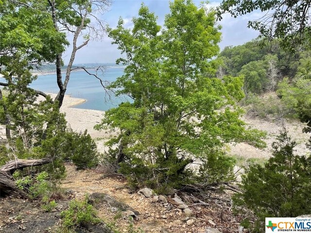 1225 Riviera Dr, Canyon Lake, TX 78133 - photo 45