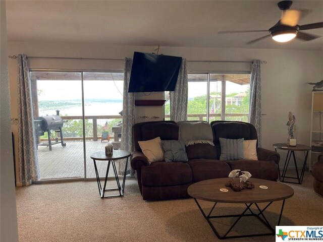 1225 Riviera Dr, Canyon Lake, TX 78133 - photo 16