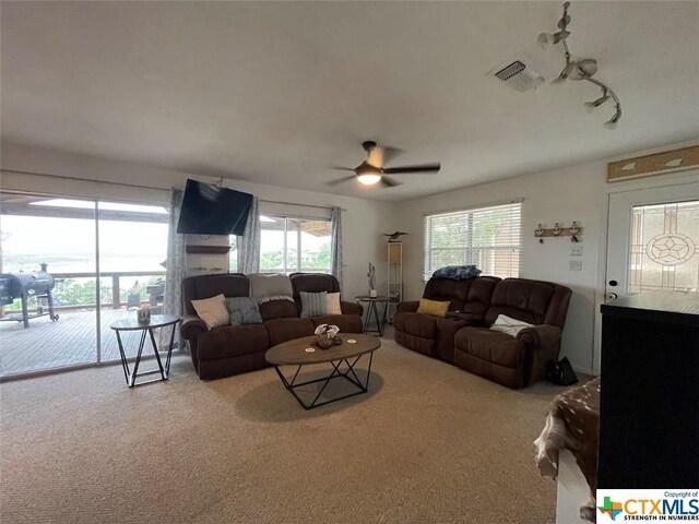 1225 Riviera Dr, Canyon Lake, TX 78133 - photo 15