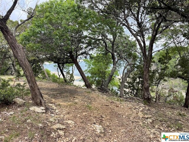 1225 Riviera Dr, Canyon Lake, TX 78133 - photo 44