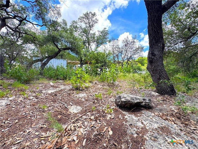 789 Rambling Dr, Canyon Lake, TX 78133