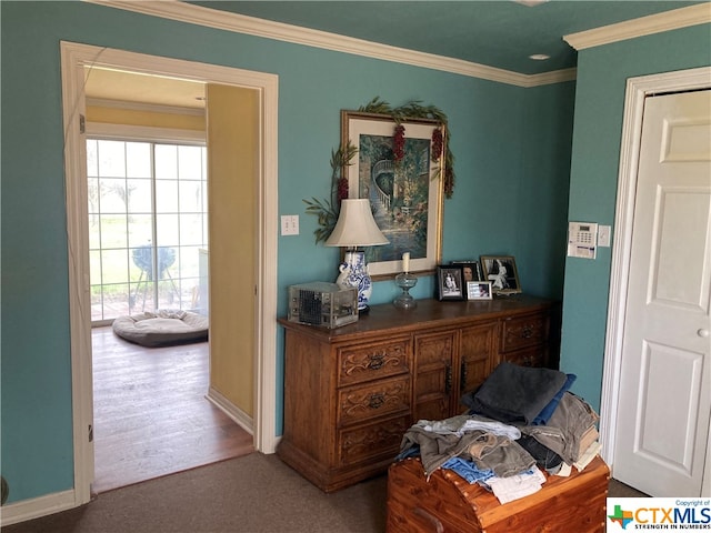 interior space with wood-type flooring and crown molding