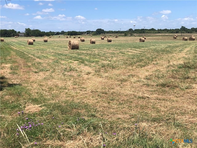 view of yard featuring a rural view