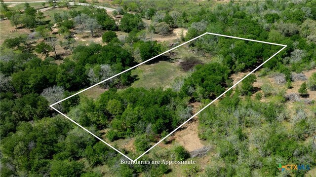 753 Roosevelt, Luling, TX 78648 - photo 3