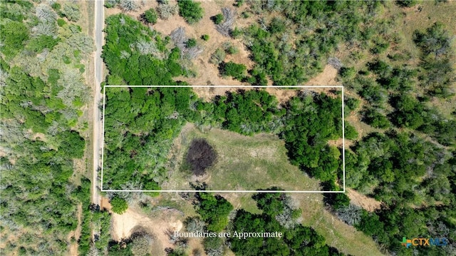 753 Roosevelt, Luling, TX 78648 - photo 10