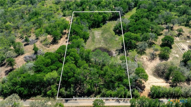 753 Roosevelt, Luling, TX 78648 - photo 2