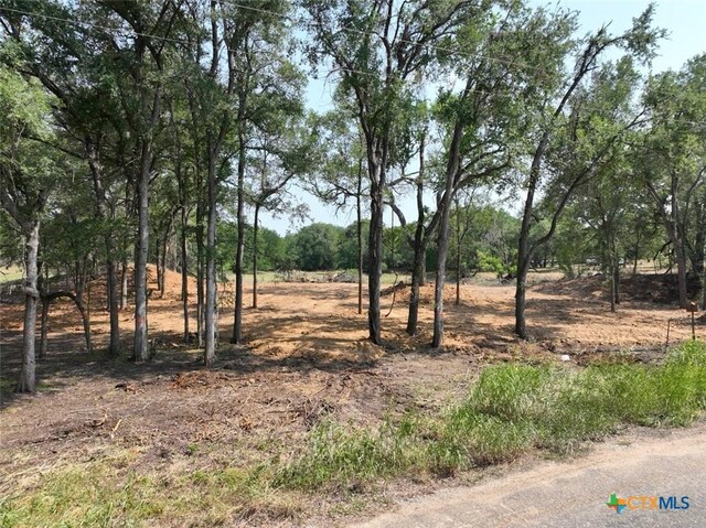 753 Roosevelt, Luling, TX 78648 - photo 16