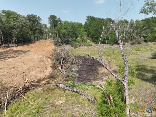 753 Roosevelt, Luling, TX 78648 - photo 19