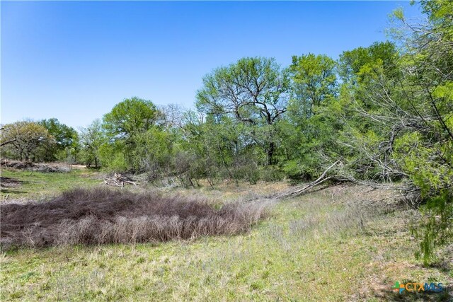 753 Roosevelt, Luling, TX 78648 - photo 4