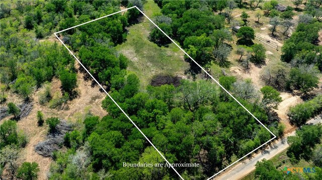 753 Roosevelt, Luling, TX 78648 - photo 13