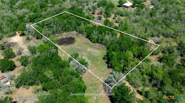 753 Roosevelt, Luling, TX 78648 - photo 14