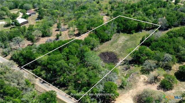 753 Roosevelt, Luling, TX 78648 - photo 12