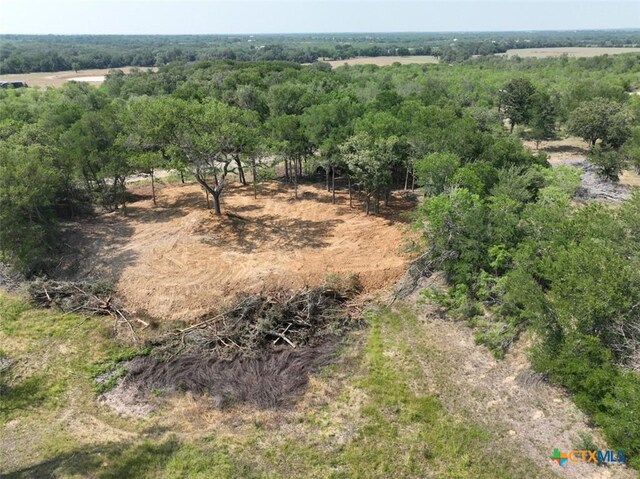 753 Roosevelt, Luling, TX 78648 - photo 8