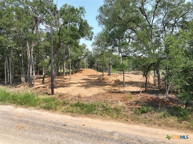 753 Roosevelt, Luling, TX 78648 - photo 21