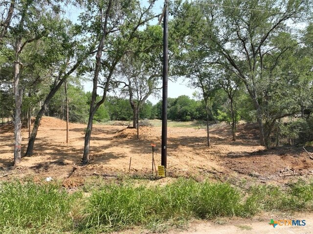753 Roosevelt, Luling, TX 78648 - photo 17