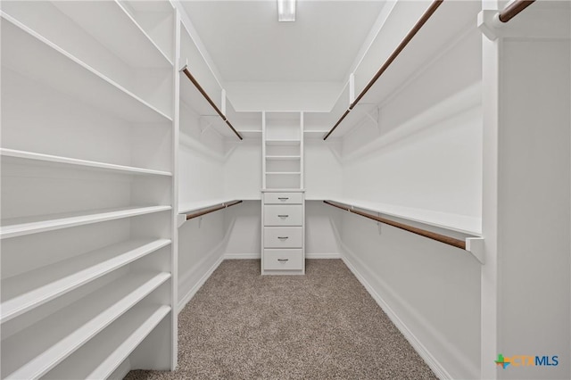 2206 Pheasant Run Ln, Temple, TX 76502 - spacious closet with carpet floors