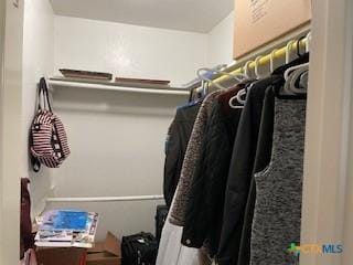 304 Oak Plz, Austin, TX 78753 - view of spacious closet