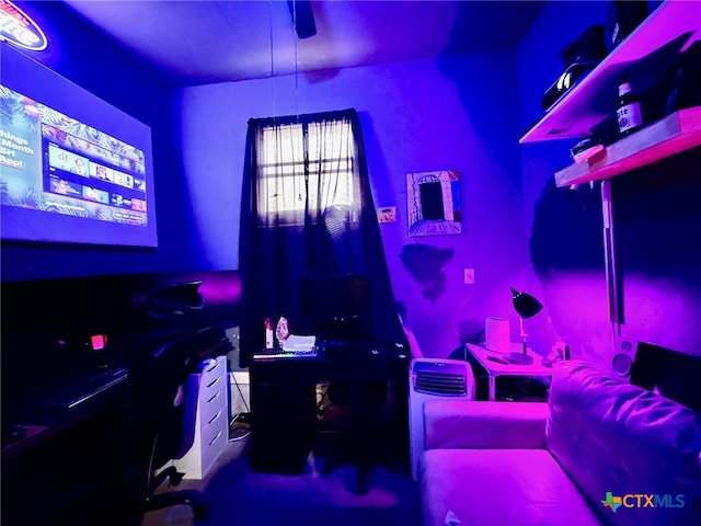 view of home theater room