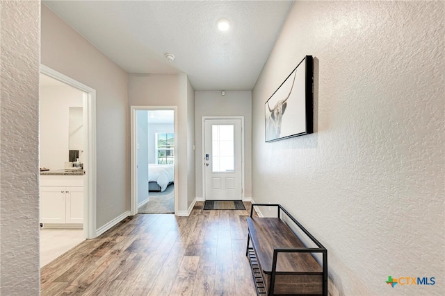 foyer entrance with hardwood / wood-style flooring