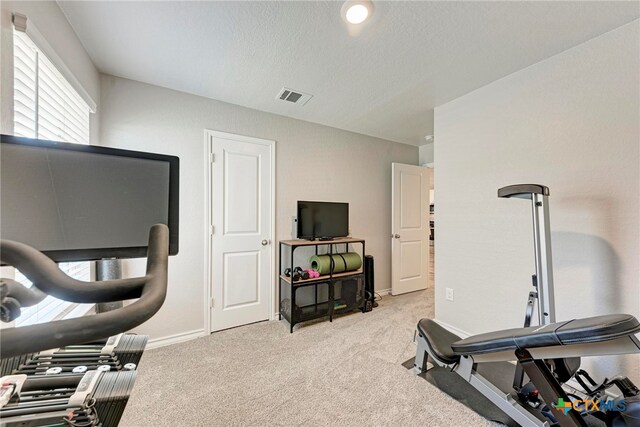 workout area featuring light colored carpet and a textured ceiling