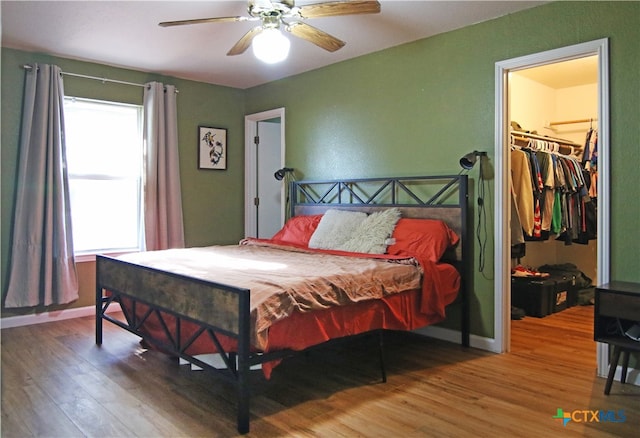 bedroom with multiple windows, a spacious closet, hardwood / wood-style flooring, and ceiling fan