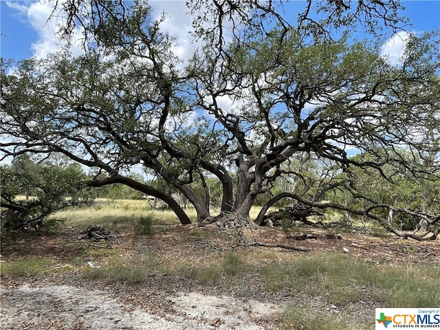 34810 Last Stage Way, Bulverde TX, 78163 land for sale