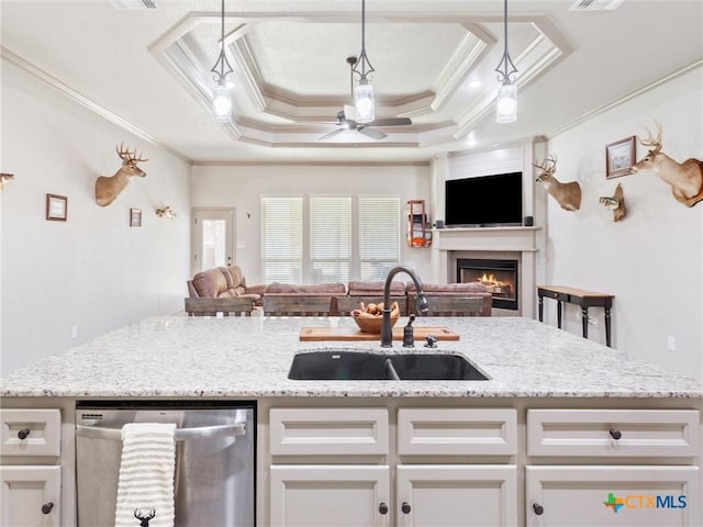 kitchen featuring a tray ceiling, sink, stainless steel dishwasher, and ornamental molding