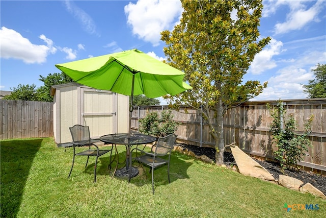 view of yard with a shed