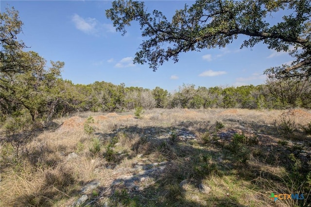 1463 Whispering Woods Trl, New Braunfels, TX 78132