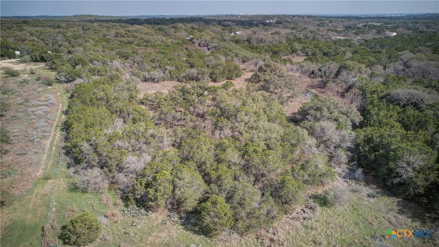 1463 Whispering Woods Trl, New Braunfels, TX 78132