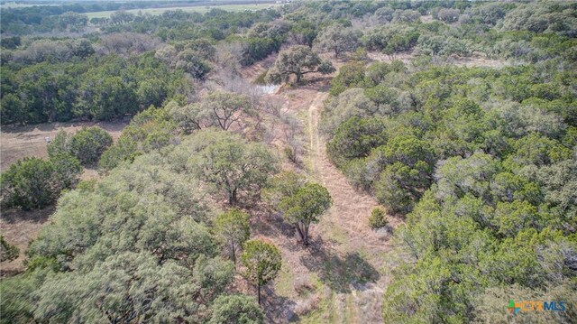 1463 Whispering Woods Trl, New Braunfels, TX 78132