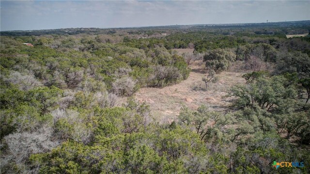 1463 Whispering Woods Trl, New Braunfels, TX 78132