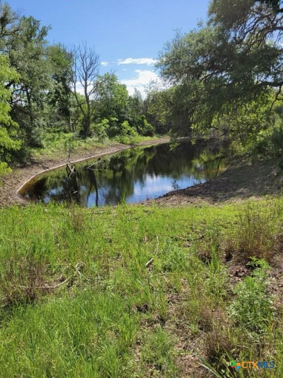 1463 Whispering Woods Trl, New Braunfels, TX 78132