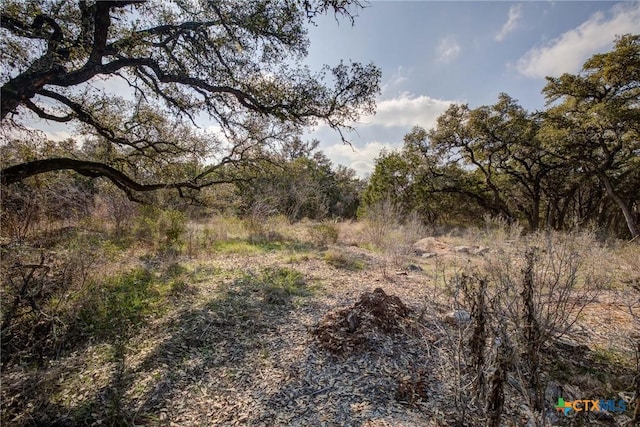 1463 Whispering Woods Trl, New Braunfels, TX 78132