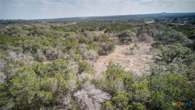 1463 Whispering Woods Trl, New Braunfels, TX 78132