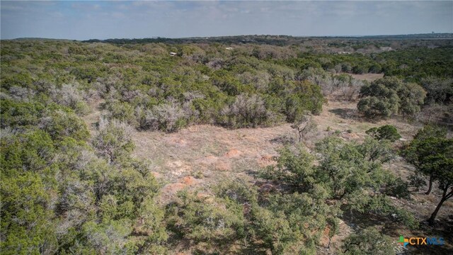 1463 Whispering Woods Trl, New Braunfels, TX 78132