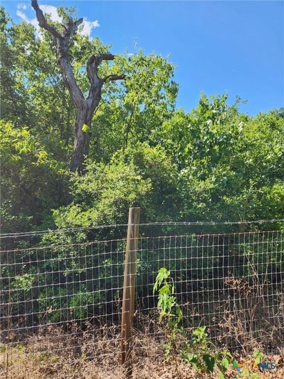 TBD Flaming Oak Dr, Bastrop, TX 78602 - photo 4