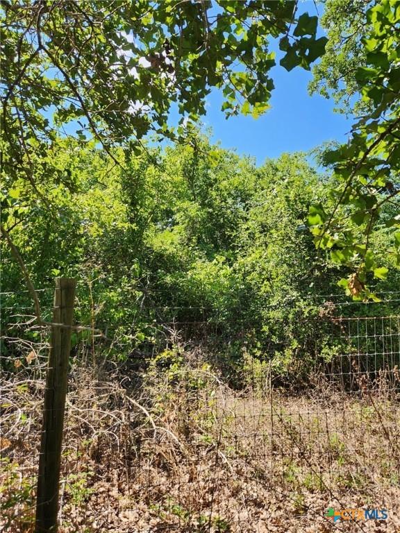 TBD Flaming Oak Dr, Bastrop, TX 78602 - photo 3