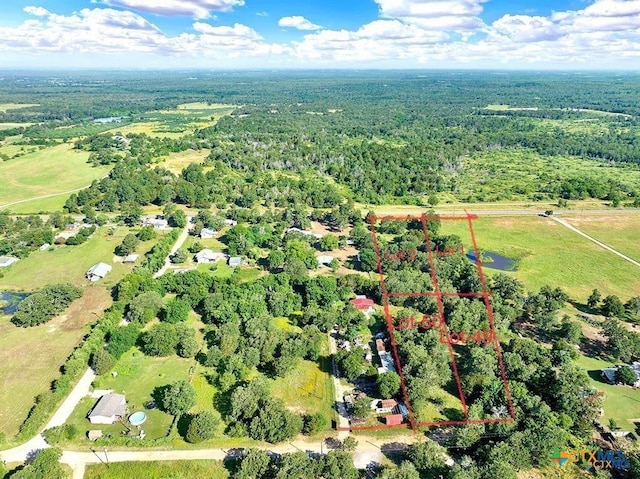 TBD Flaming Oak Dr, Bastrop, TX 78602 - photo 5