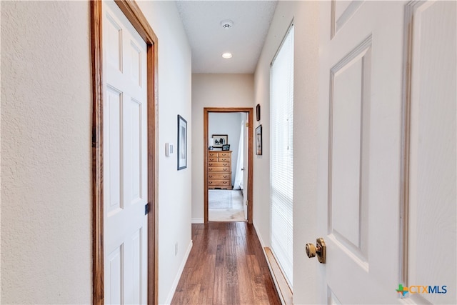 hall featuring dark hardwood / wood-style floors and a healthy amount of sunlight