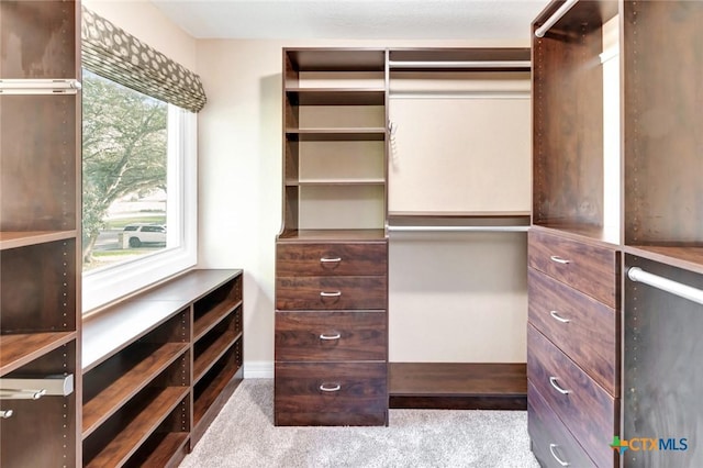 608 Chimney Rock Dr, Victoria, TX 77904 - spacious closet with carpet flooring
