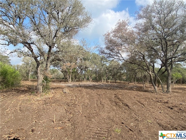 Listing photo 2 for 1776 Fm 1351, Goliad TX 77963