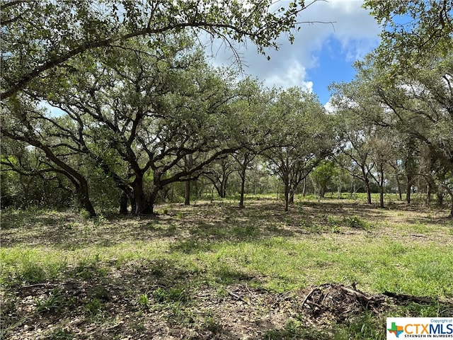 Listing photo 3 for 1776 Fm 1351, Goliad TX 77963