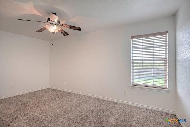 3504 Armstrong County Ct, Killeen, TX 76549 - photo 34