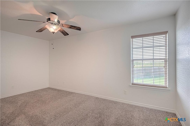 3504 Armstrong County Ct, Killeen, TX 76549 - photo 37
