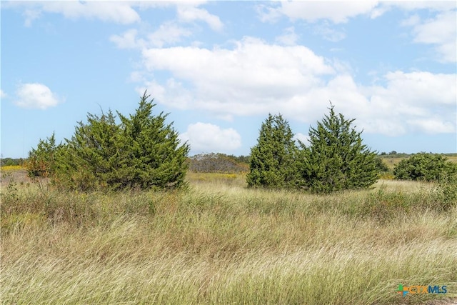 2550 Hodge Rd, Moody, TX 76557 - photo 4