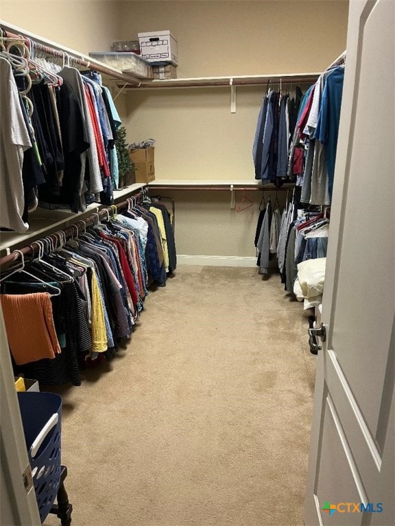 walk in closet featuring carpet